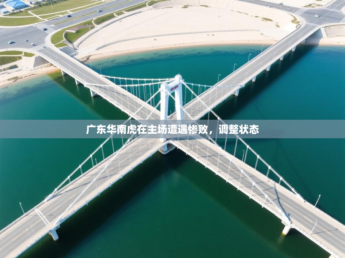 广东华南虎在主场遭遇惨败，调整状态  第1张