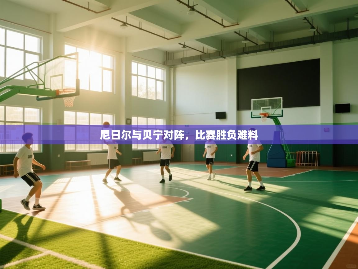 尼日尔与贝宁对阵，比赛胜负难料  第1张