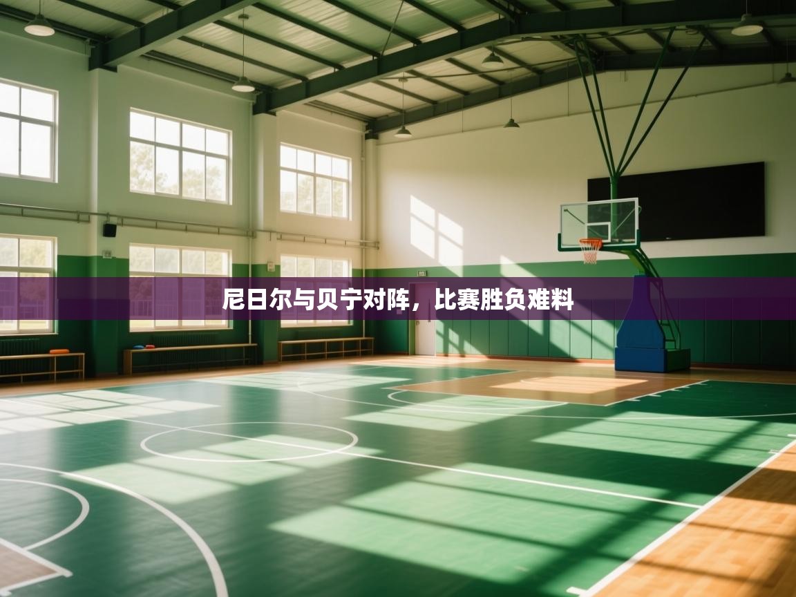 尼日尔与贝宁对阵，比赛胜负难料  第2张