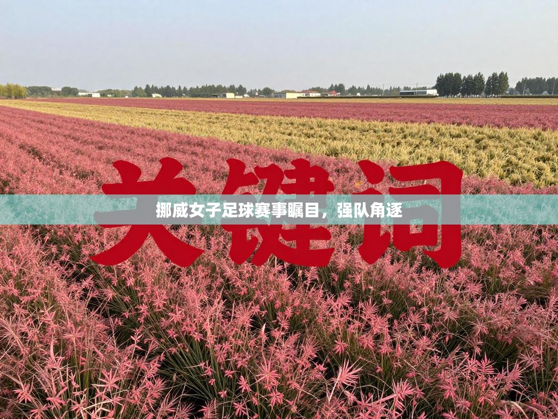 挪威女子足球赛事瞩目，强队角逐  第1张