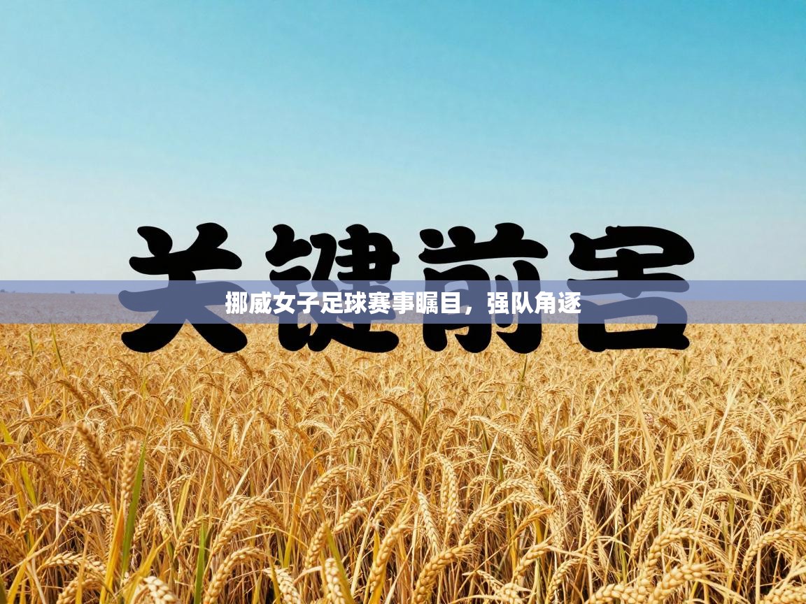 挪威女子足球赛事瞩目，强队角逐  第2张