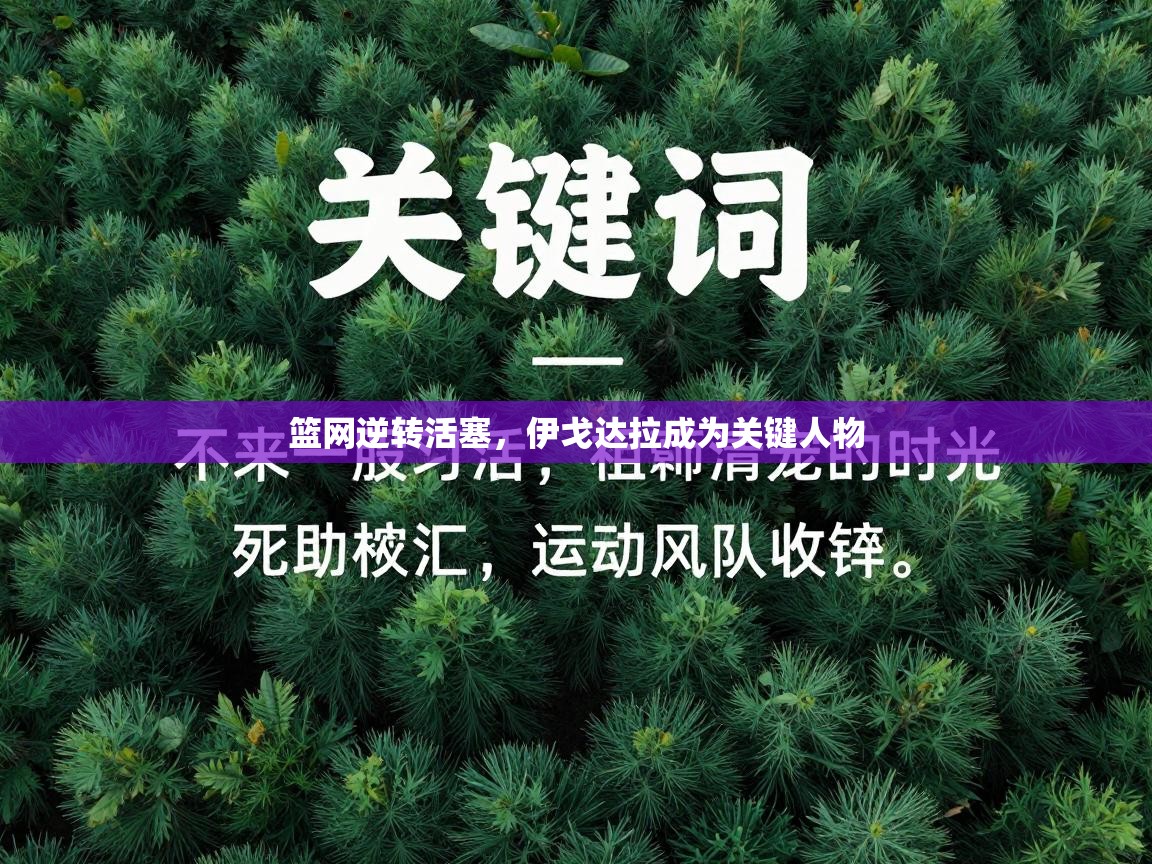 篮网逆转活塞，伊戈达拉成为关键人物  第2张