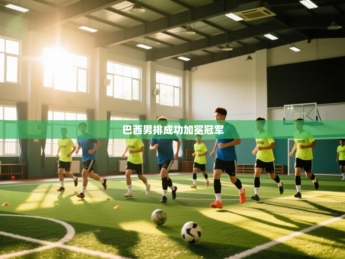 巴西男排成功加冕冠军  第1张