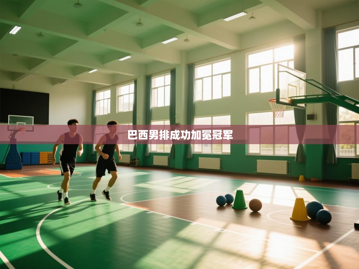 巴西男排成功加冕冠军  第2张