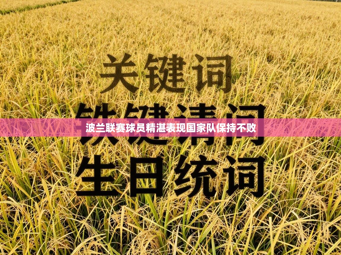 波兰联赛球员精湛表现国家队保持不败  第1张