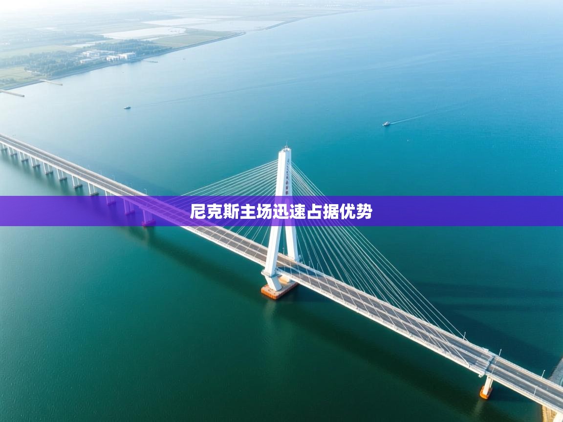 尼克斯主场迅速占据优势  第1张