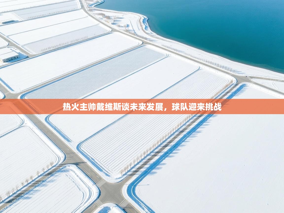 热火主帅戴维斯谈未来发展，球队迎来挑战  第1张