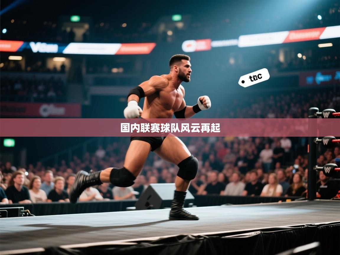 国内联赛球队风云再起  第1张