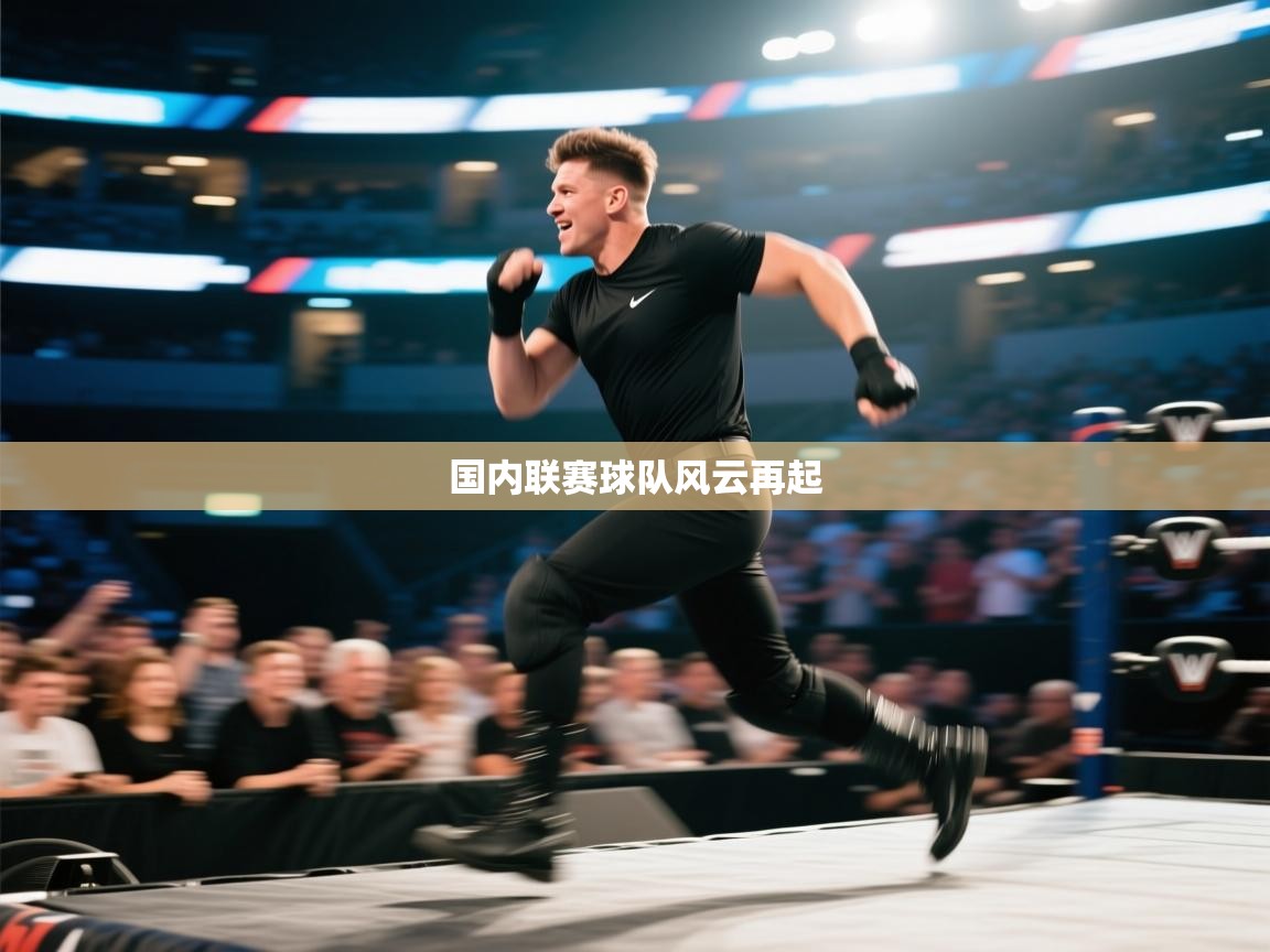 国内联赛球队风云再起  第2张
