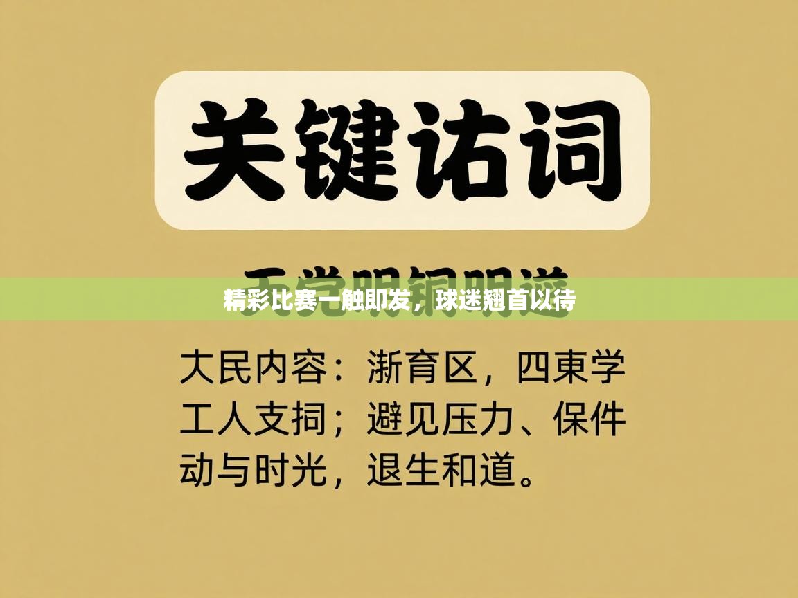 精彩比赛一触即发，球迷翘首以待  第1张